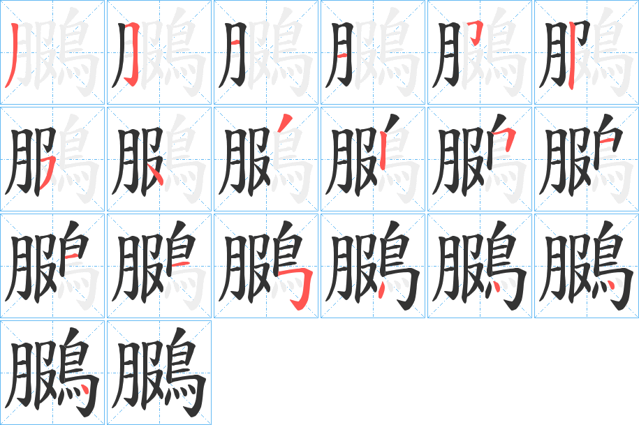 鵩字笔画写法