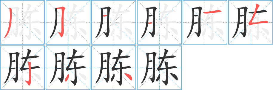 胨字笔画写法