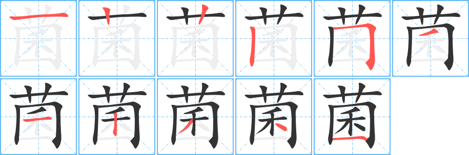 菌字笔画写法