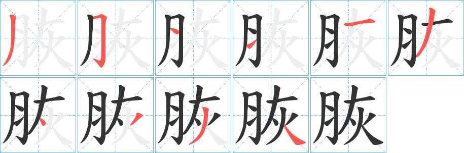 脄字笔画写法